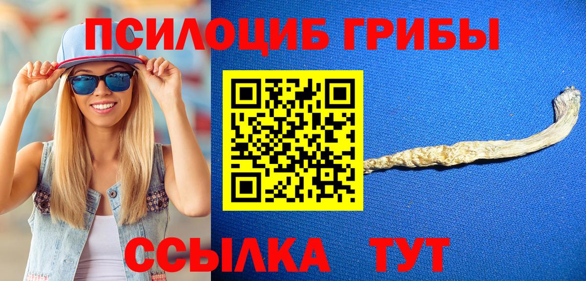 Сланцы  Галлюциногенные грибы Cubensis  Вход с VPN 
