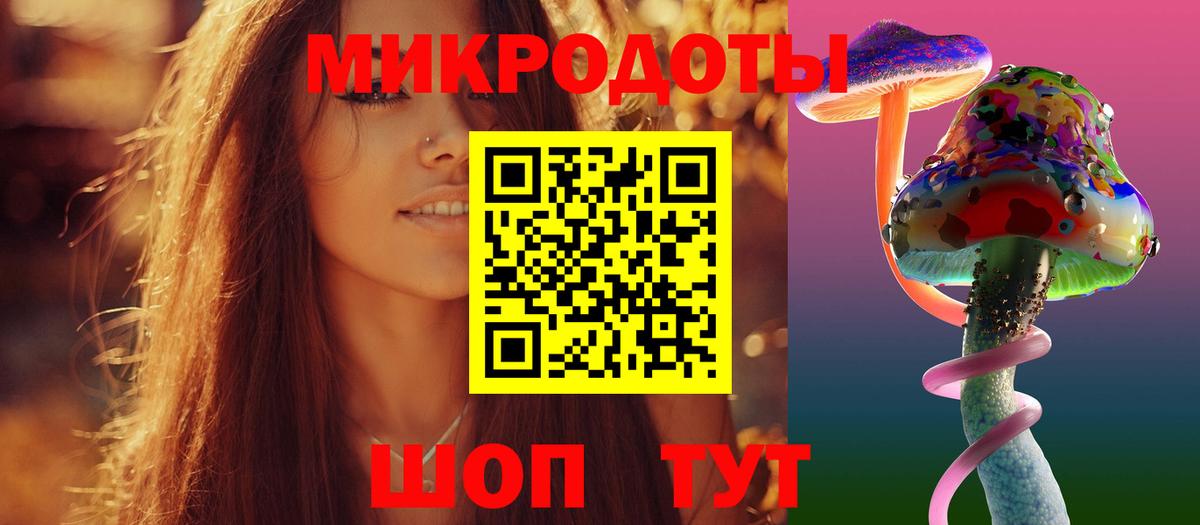 Галлюциногенные грибы прущие грибы Сланцы